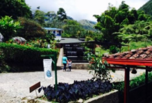 La Trucheria美食图片