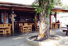 New Tam-Tam Bikini Bar & Restaurant美食图片