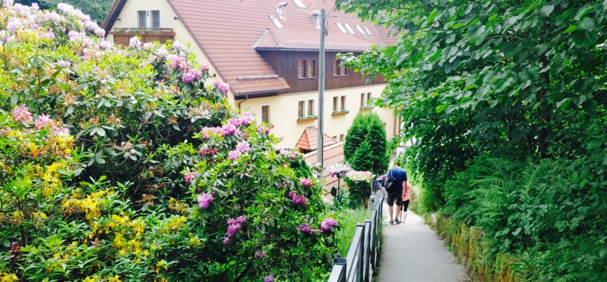 Amselgrund schlösschen餐厅图片