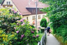Amselgrund schlösschen美食图片