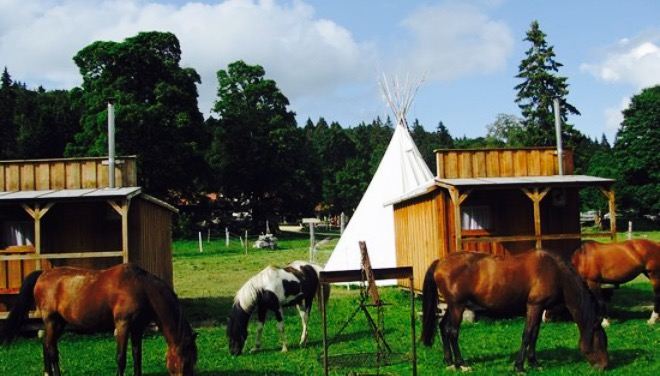 Bison Ranch