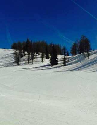 Genuss Gasthof Hierzegger