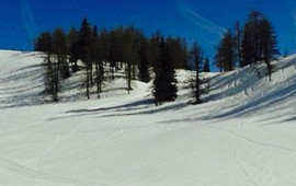 Genuss Gasthof Hierzegger