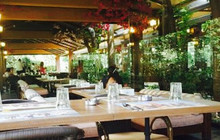Ksar Lebanese Diner餐厅图片