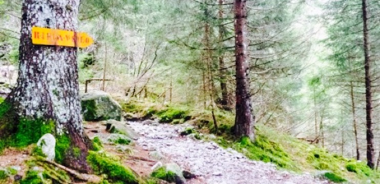 Rifugio Sandro Occhi all'Aviolo餐厅图片