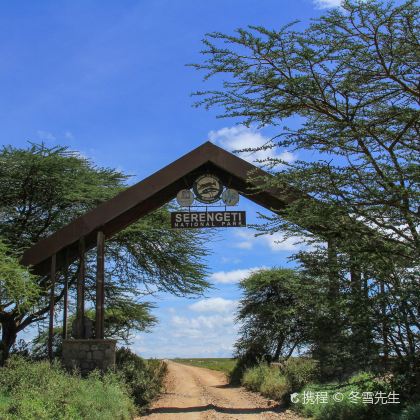 坦桑尼亚+塞伦盖蒂国家公园+恩戈罗恩戈罗保护区+塔兰吉雷国家公园+桑给巴尔岛11日10晚跟团游