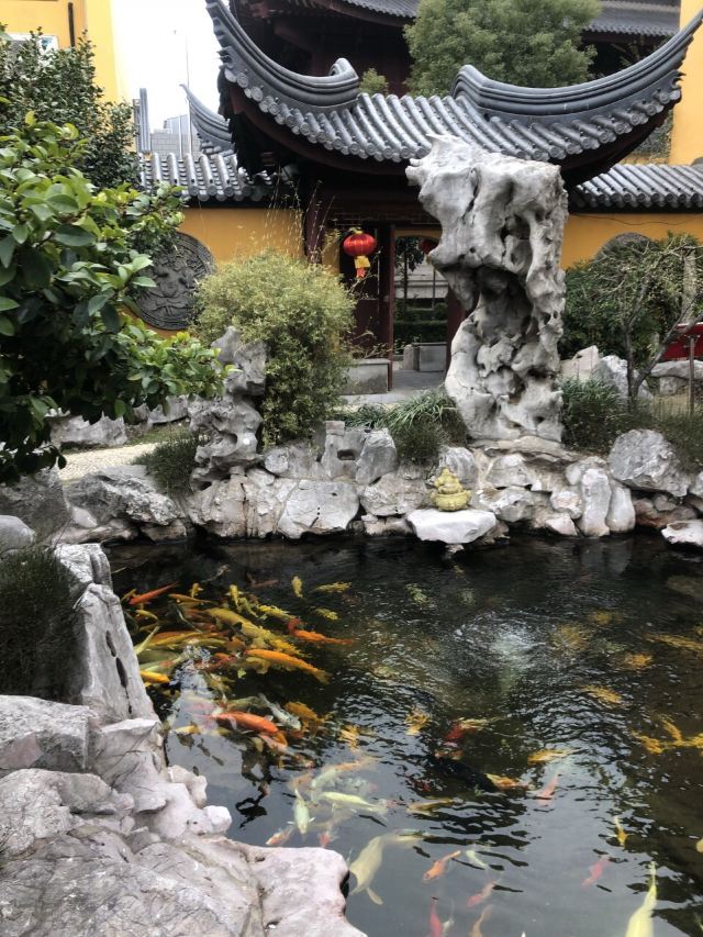 少年兒童公園