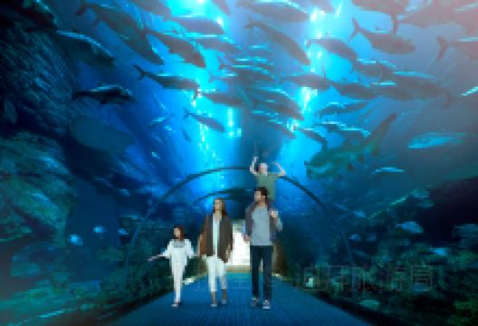 迪拜水族馆和水下动物园景点图片