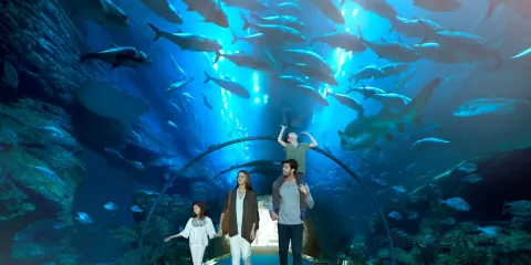 迪拜水族館和水下動物園