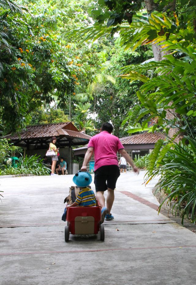 Singapore Zoo