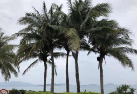 丽思卡尔顿购物廊购物图片