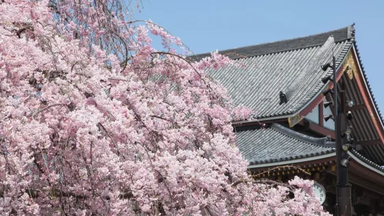 西新井大師 總持寺