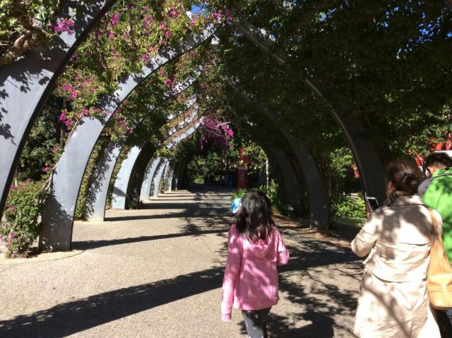 South Bank Parklands