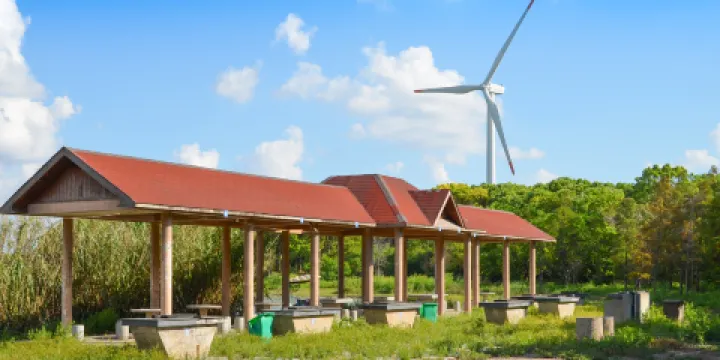 上海濱海森林公園