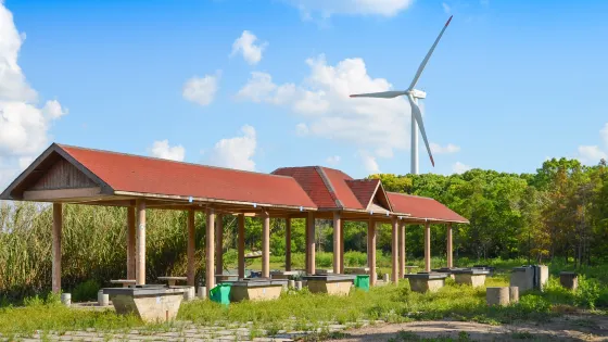 上海濱海森林公園