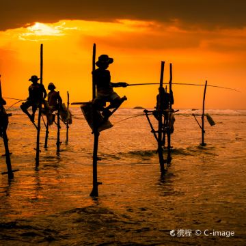 斯里兰卡7日5晚跟团游