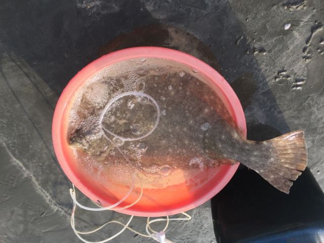 Shuangyuewan fishing experience