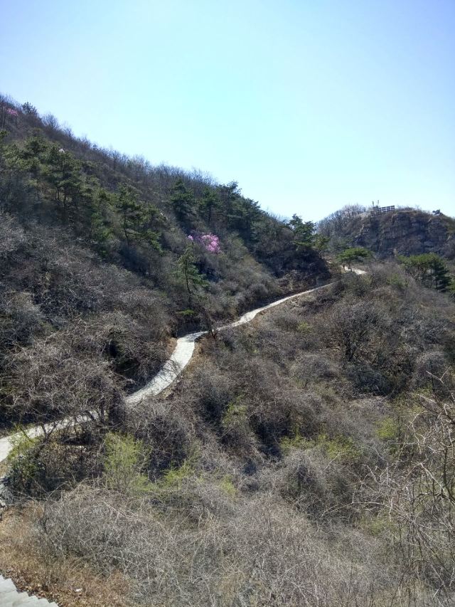 진롱쓰 국가삼림공원