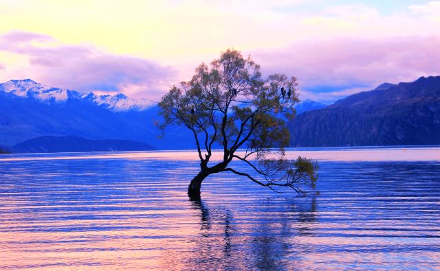 Lake Wanaka