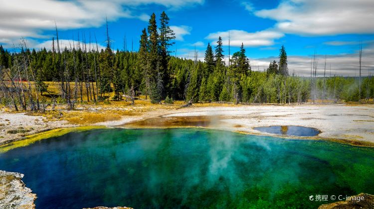 3-Day Yellowstone National Park Bilingual Tour from Salt Lake City · Jackson, Grand Teton and Bear World