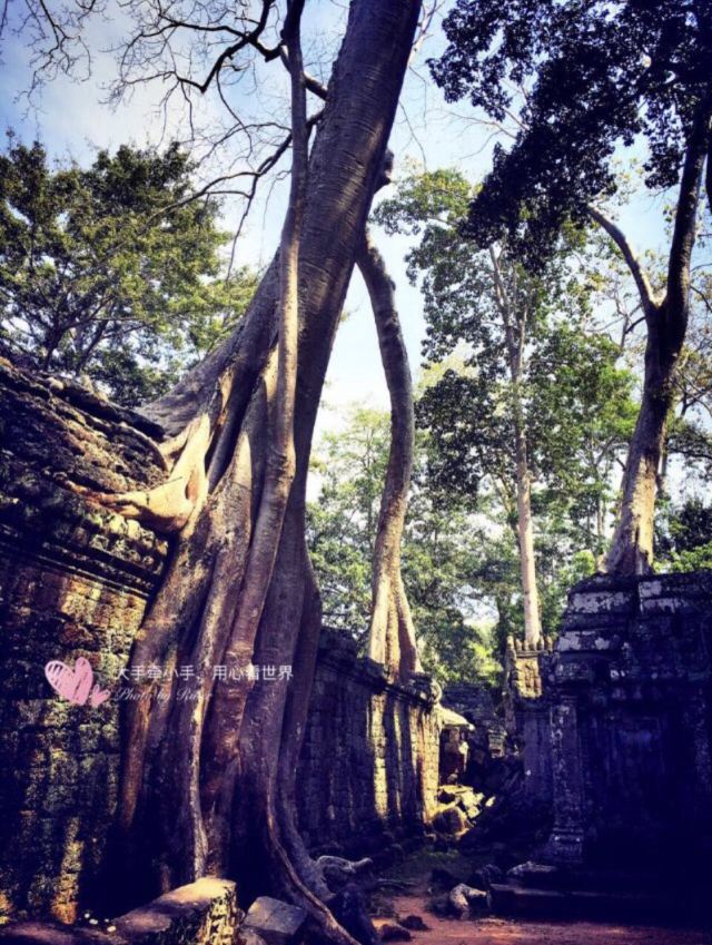 Ta Prohm