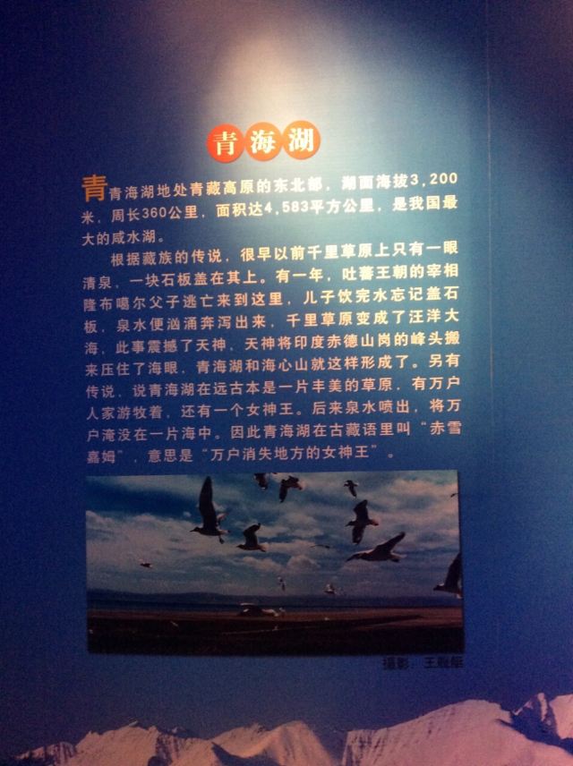 Qinghai Tibetan Culture Museum
