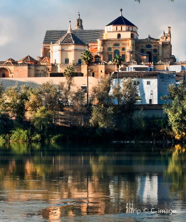 8D7N • Madrid, Toledo, Cordoba, Seville, Granada, Barcelona, Great Mosque of Cordoba, Alhambra, Sagrada Familia, Park Guell