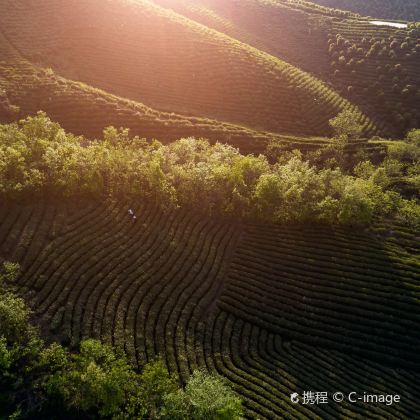 河南信阳鸡公山景区+波尔登森林公园+南湾湖风景区3日2晚私家团