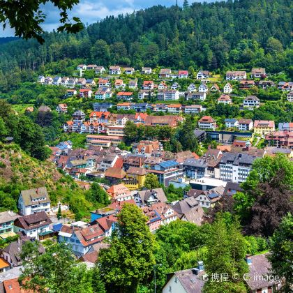 德国法兰克福+科隆+黑森林8日6晚拼小团