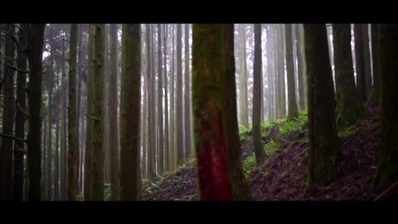 原始森林等待野人，日本·箱根