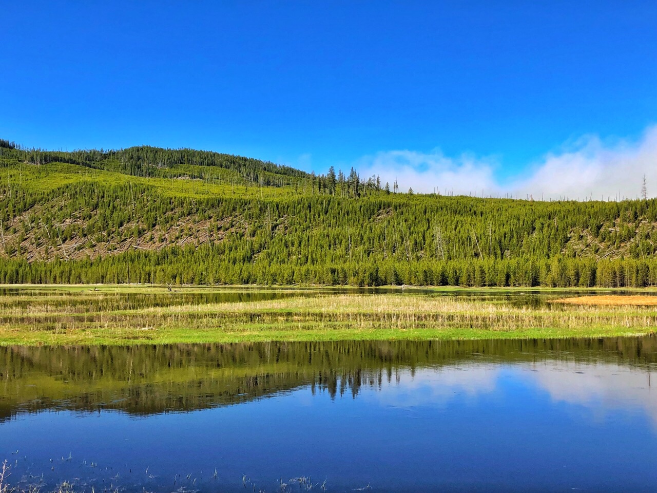 湖光山色弄清影 美国黄石公园容易被忽略的美景