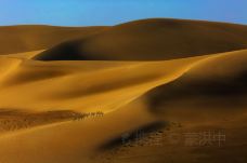 塔克拉玛干沙漠-尉犁-doris圈圈