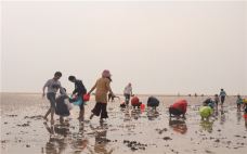 刘家湾赶海园-日照-AIian