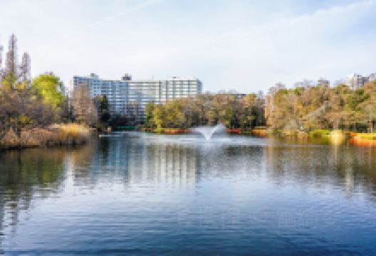 武藏野市旅游图片-人气街区吉祥寺漫步