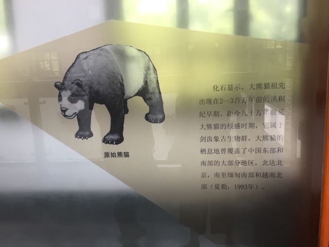 Panda Pavilion Attractions Changzhou Travel Review Travel Guide Trip Com