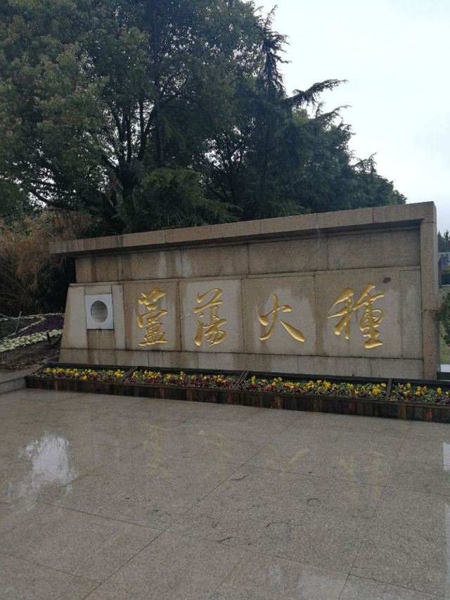 Shajiabang Scenic Area