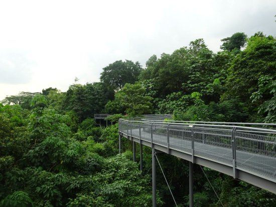 Mount Faber Cable Car