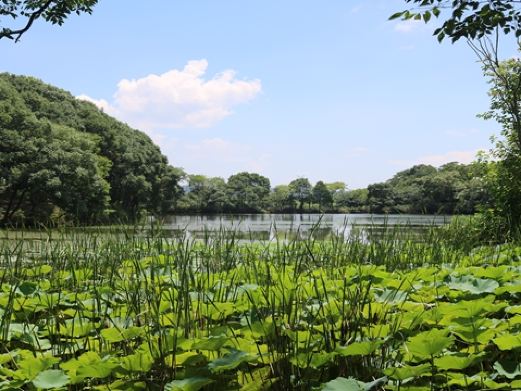 龙灵山生态公园
