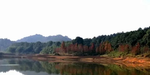 北峰山森林公園