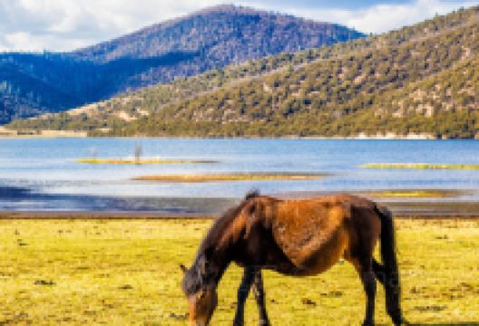 普达措国家公园景点图片