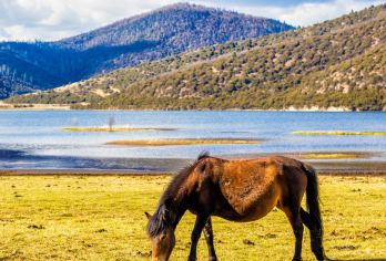云南香格里拉普达措国家公园一日游可订梅里雪山线纯包车【纯玩包车自由行 梅里雪山线 2日往返包车如下】