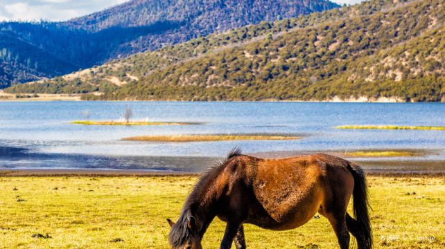 普达措国家公园