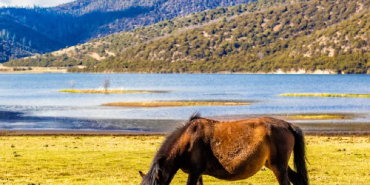 普達措國家公園