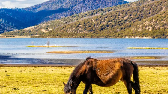 普達措國家公園