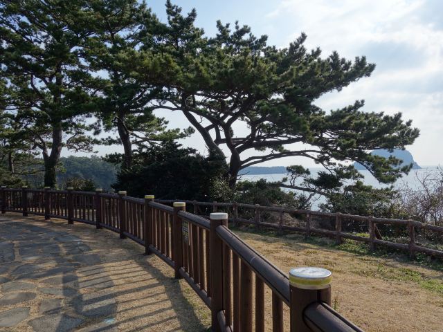 천지연 폭포
