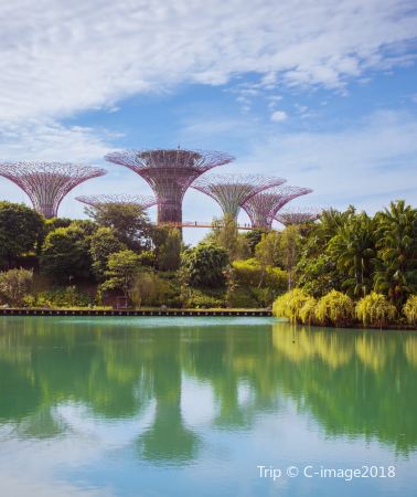 5D4N • Singapore