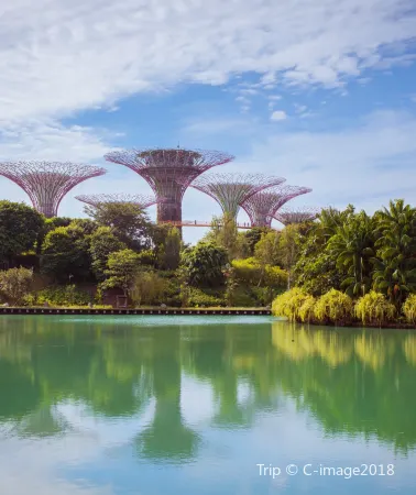 5D4N • Singapore