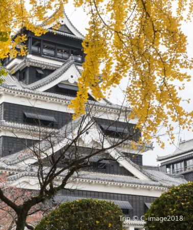 6天5晚 • 日本九州＋北九州市＋熊本市＋宮崎市＋大分市＋福岡＋佐賀市「神宿九州·古韻今風探秘之旅」