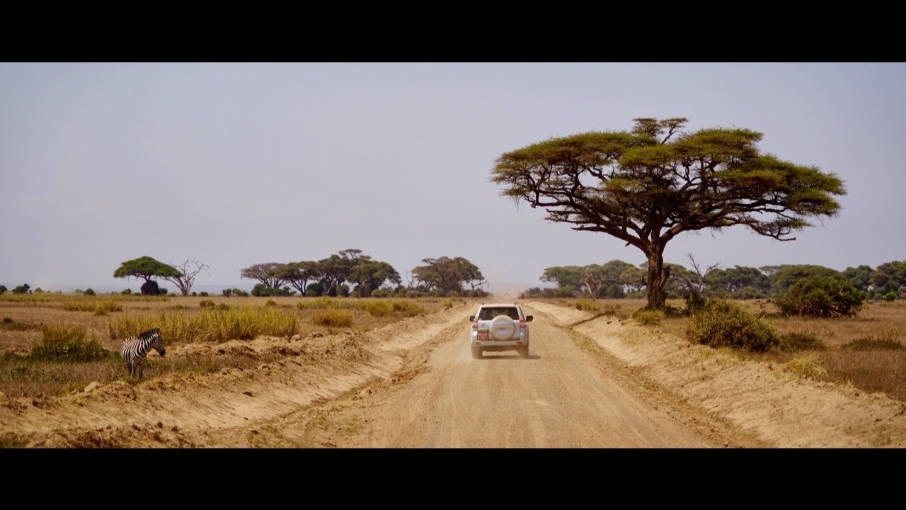 来了肯尼亚，不要错过安博赛利国家公园！