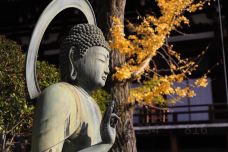 金戒光明寺-京都-YoYo_9G0H2D6L